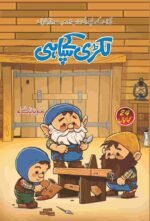 Lakri K Sapahi لکڑی کے سپاہی
