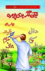 Naiki Nagar, Badi Poora نیکی نگر، بدی پورہ