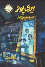 Harry Potter Aur Paras Pathar Ka Raaz ہیری پوٹر اور پارس پتھر کا راز