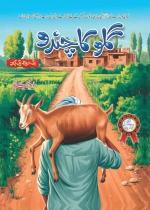Aik Hadees Aik Kahani Series (4 Books)