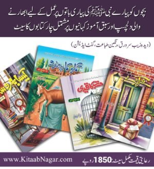 Aik Hadees Aik Kahani Series (4 Books)